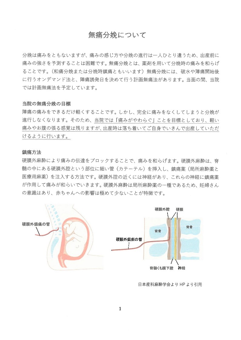 無痛分娩の基礎と臨床 無痛分娩の基礎と臨床 | 角倉 弘行 |本 | 通販 | Amazon